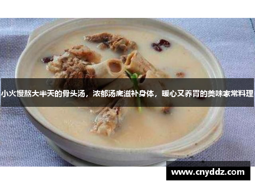 小火慢熬大半天的骨头汤，浓郁汤底滋补身体，暖心又养胃的美味家常料理