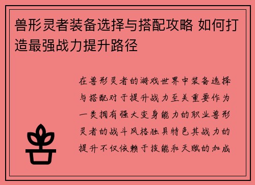 兽形灵者装备选择与搭配攻略 如何打造最强战力提升路径